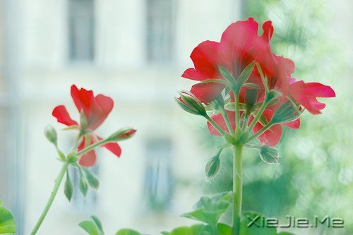 不论这个世界多么糟糕，你自己的世界一定要精彩 (2)