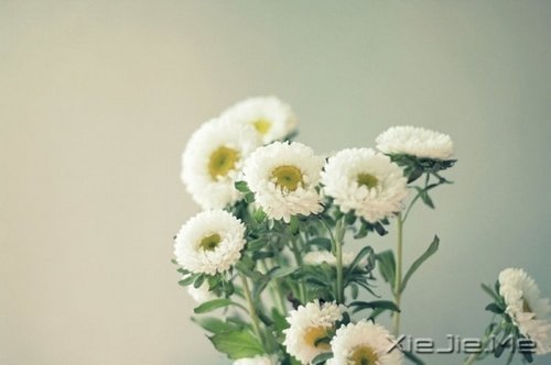 不论这个世界多么糟糕，你自己的世界一定要精彩 (3)