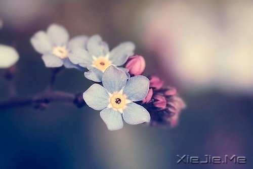 不论这个世界多么糟糕，你自己的世界一定要精彩 (5)
