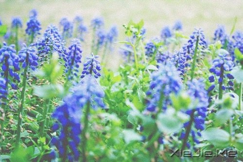 不论这个世界多么糟糕，你自己的世界一定要精彩 (8)