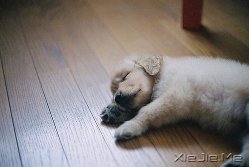 早安心语：不忘初心，方得始终 (6)
