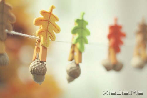 早安心语：不忘初心，方得始终 (8)