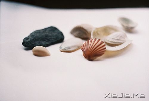早安心语：幸福不是终点，而是旅程的途中 (10)