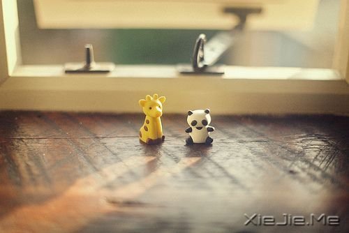 早安心语：坚持需要勇气，重新来过更是如此 (10)
