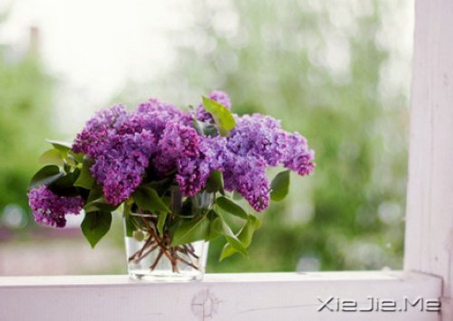 张嘉佳：请带一包葡萄干给我