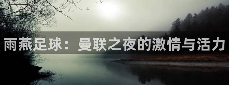 雨燕足球：曼联之夜的激情与活力