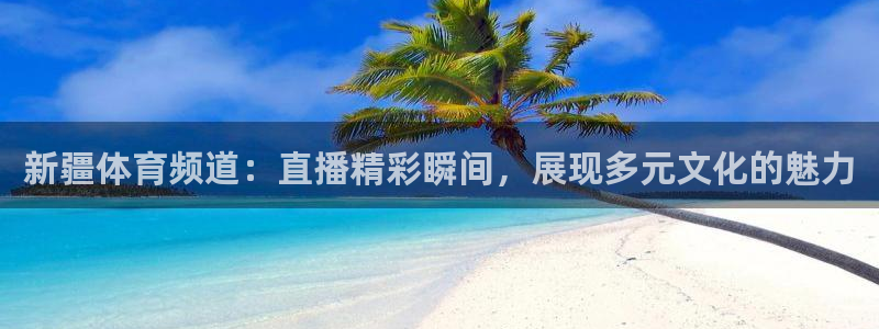 新疆体育频道：直播精彩瞬间，展现多元文化的魅力