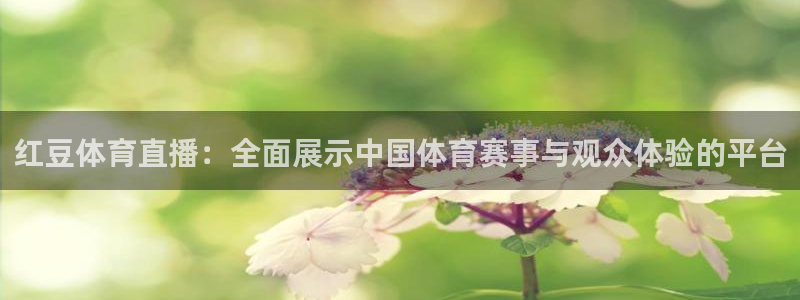红豆体育直播：全面展示中国体育赛事与观众体验的平台