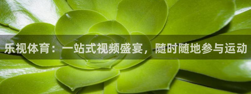 乐视体育：一站式视频盛宴，随时随地参与运动