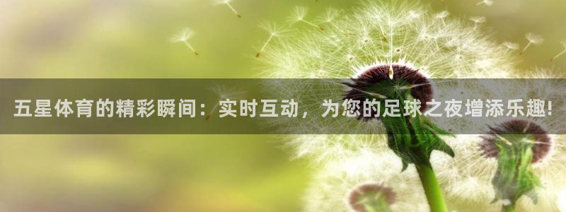 五星体育的精彩瞬间：实时互动，为您的足球之夜增添乐趣!